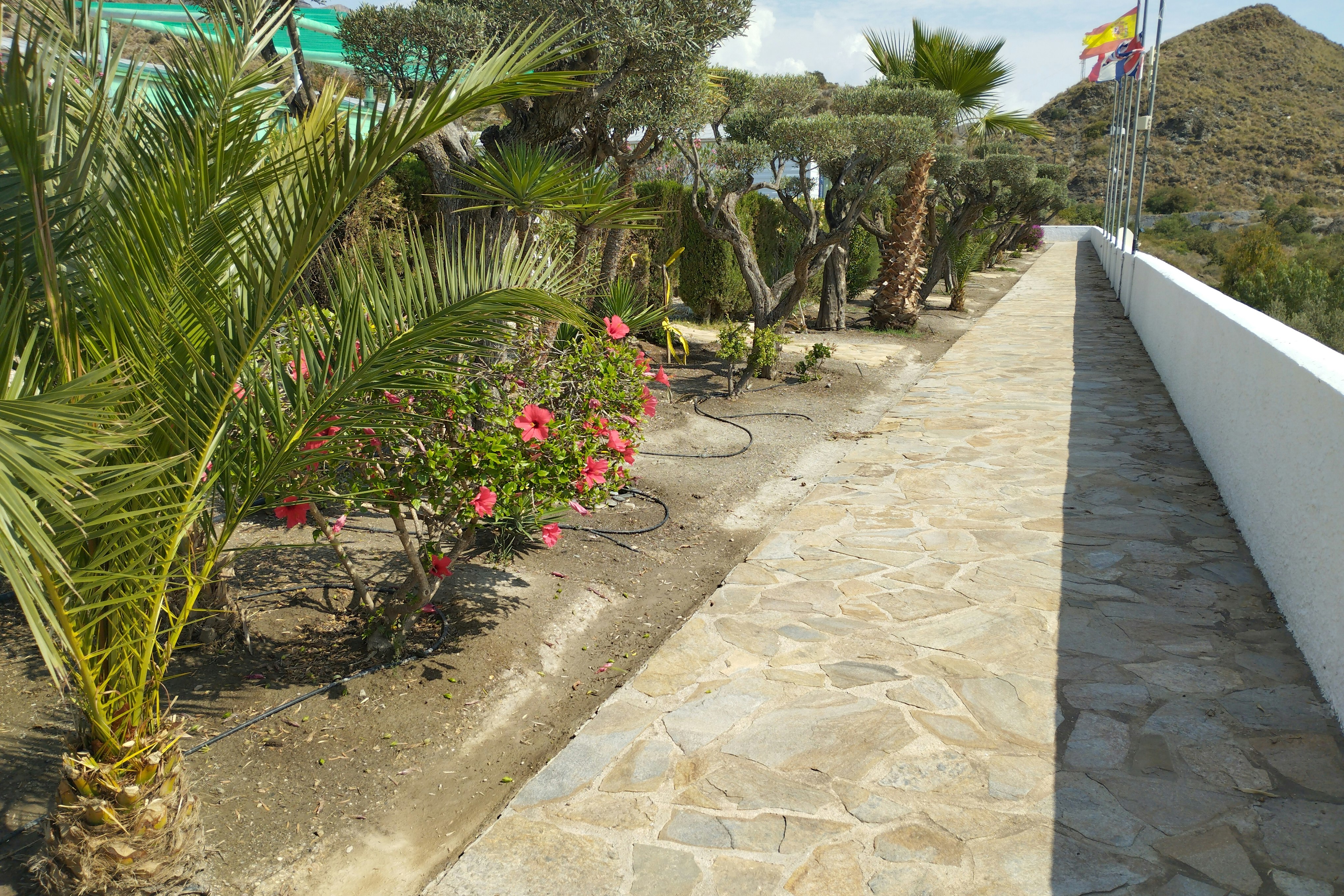 Camping Cueva Negra - Gehweg mit schönen Beeten am Wegesrand