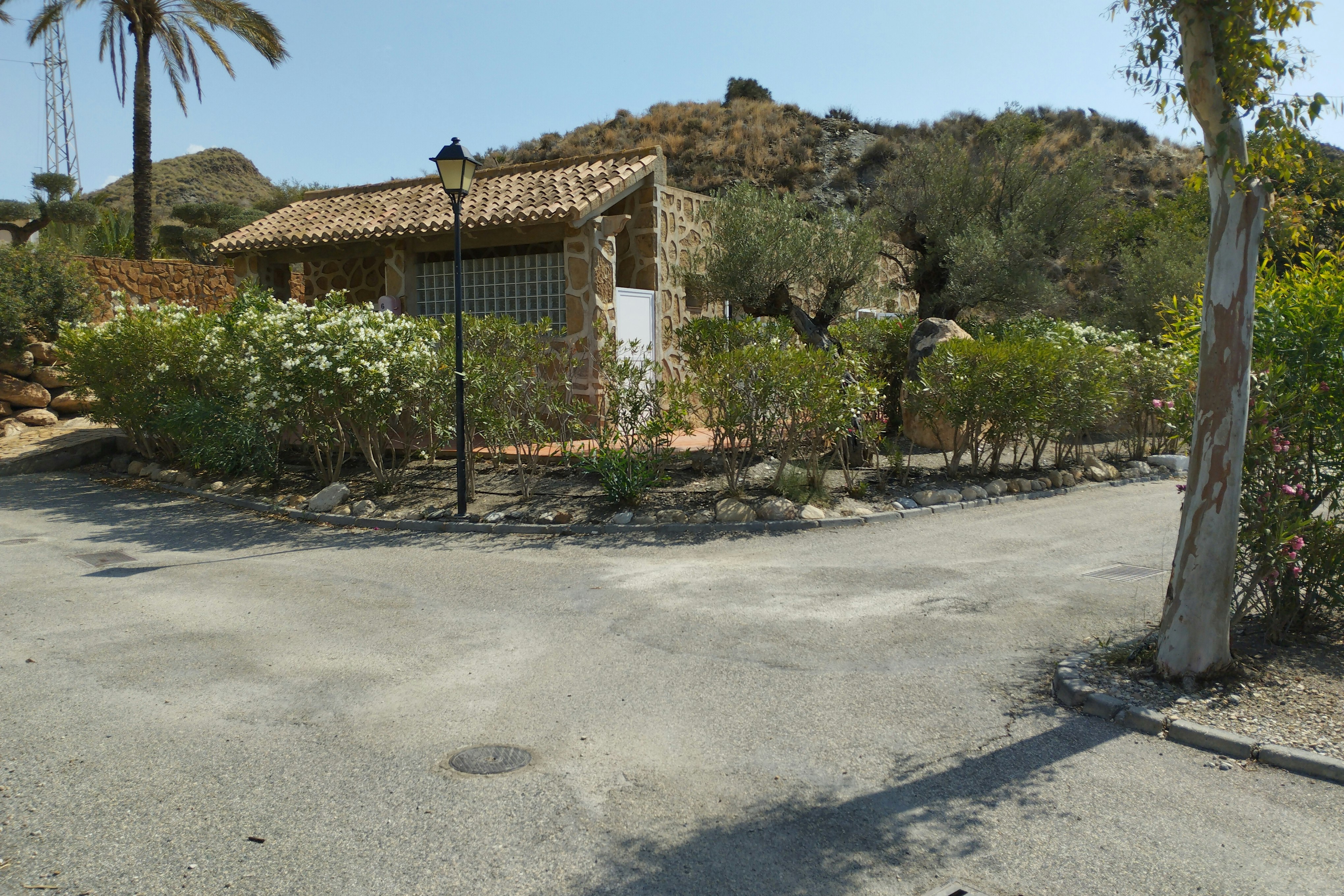 Camping Cueva Negra - Gehwege mit Beleuchtung und schöner Bepflanzung am Wegesrand