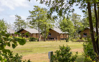 Camping Cupido