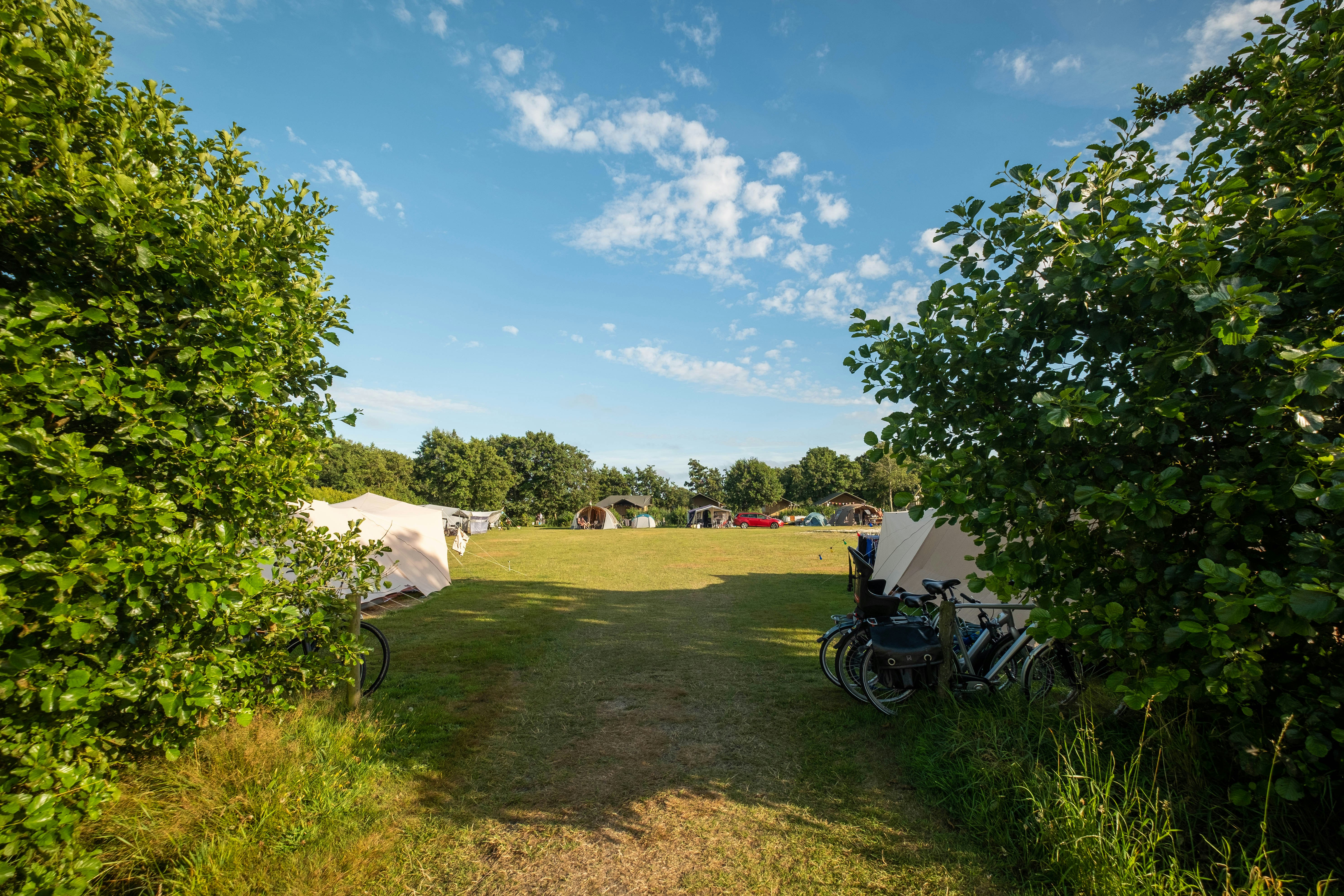 Camping Cupido - Wohnmobil- und Wohnwagenstandplätze auf der Wiese