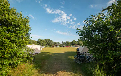 Camping Cupido