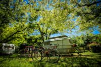 Camping Cévennes Provence  -  Stellplatz vom Campingplatz auf grüner Wiese im Schatten