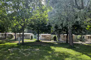 Reihe von Mobilheimen auf einem Campingplatz zwischen Bäumen, mit Rasen, Kieswegen und Gartenstühlen vor den Unterkünften.