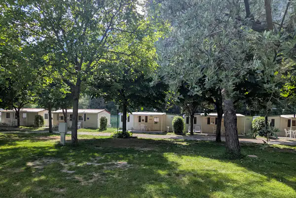 Camping Daino