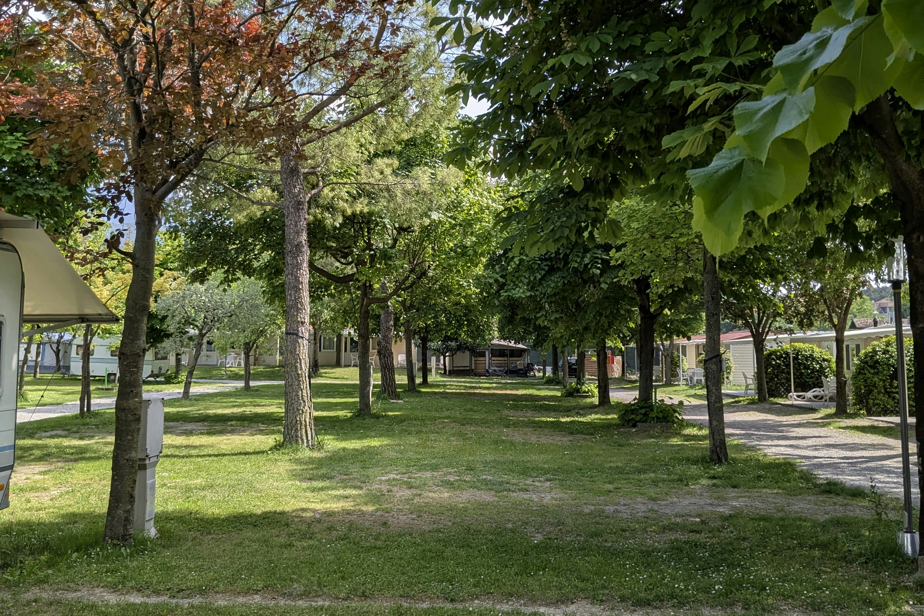 Camping Daino - Standplätze zwischen den Bäumen auf dem Campingplatz