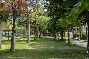 Camping Daino - Standplätze zwischen den Bäumen auf dem Campingplatz