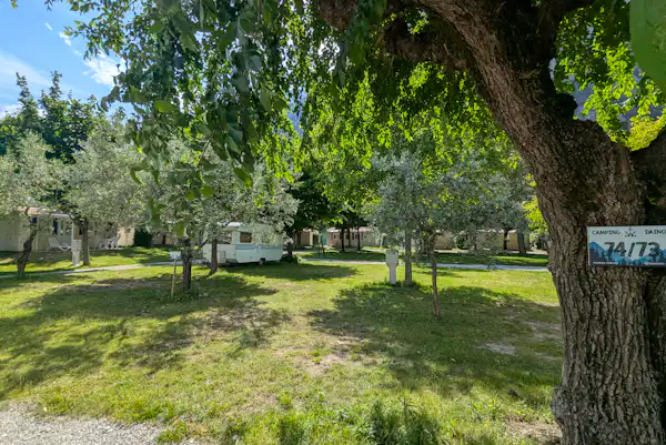 Camping Daino