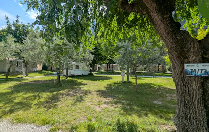 Camping Daino