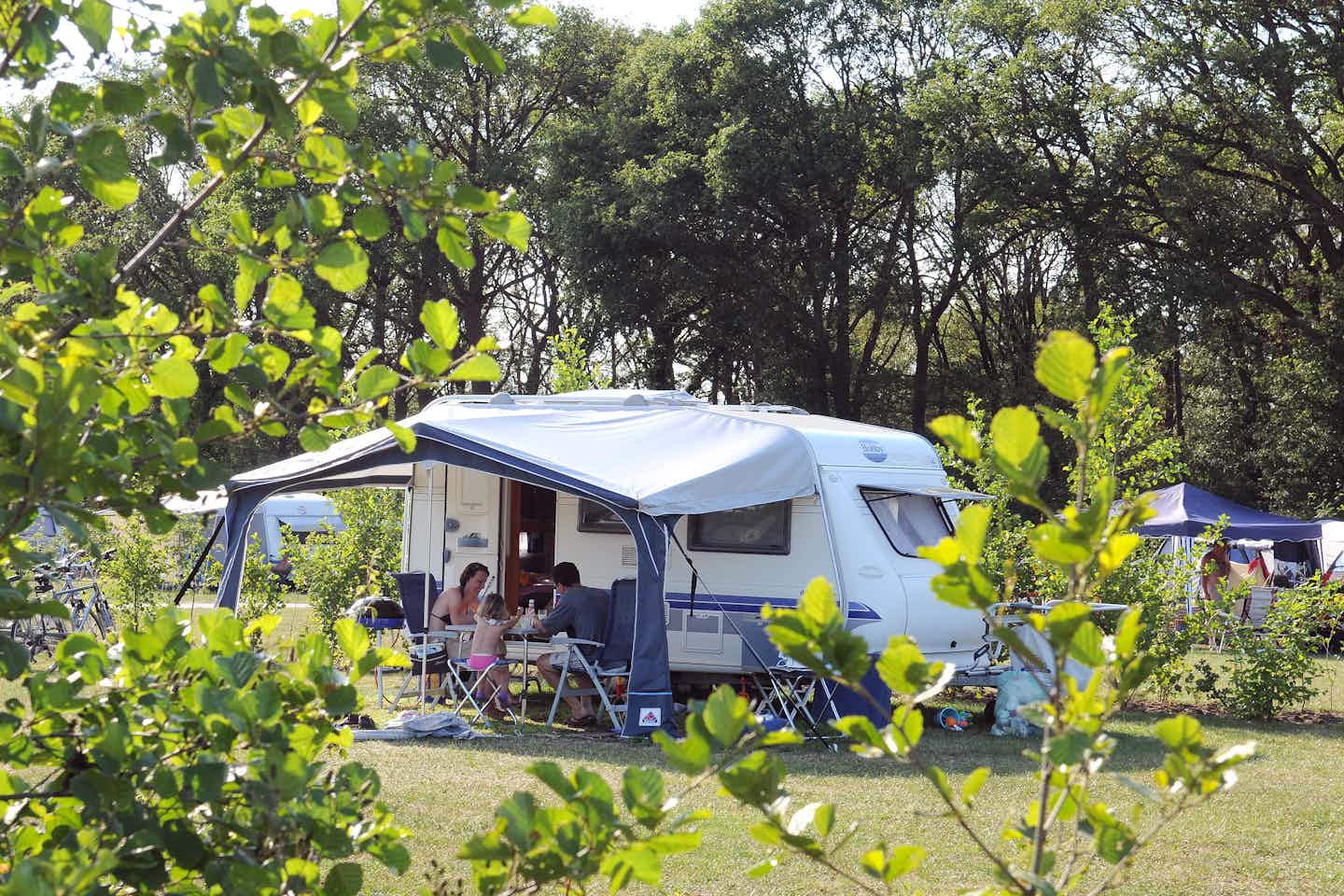 Camping Dal van de Mosbeek