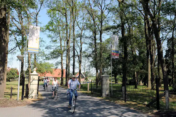 Camping Dal van de Mosbeek