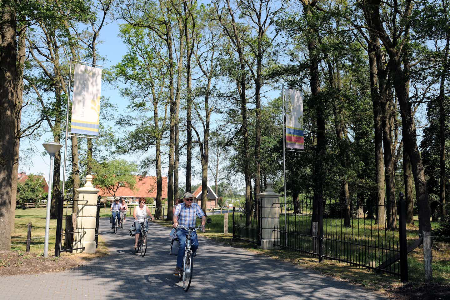 Camping Dal van de Mosbeek