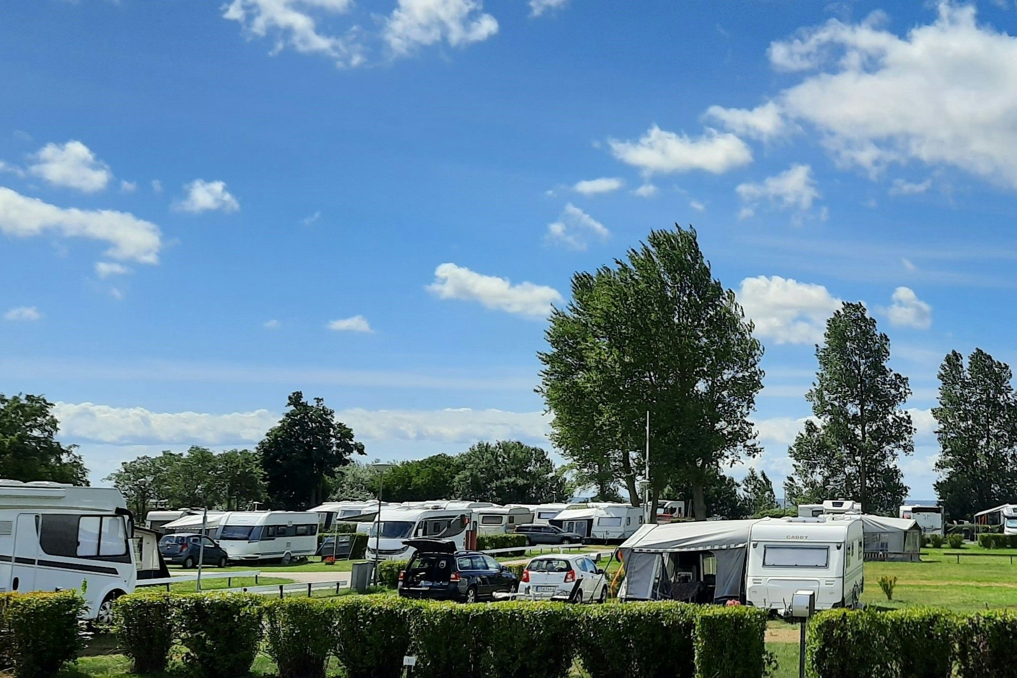 Trelleborg Strand - Standplätze auf grüner Wiese umgeben von Hecken und Bäumen