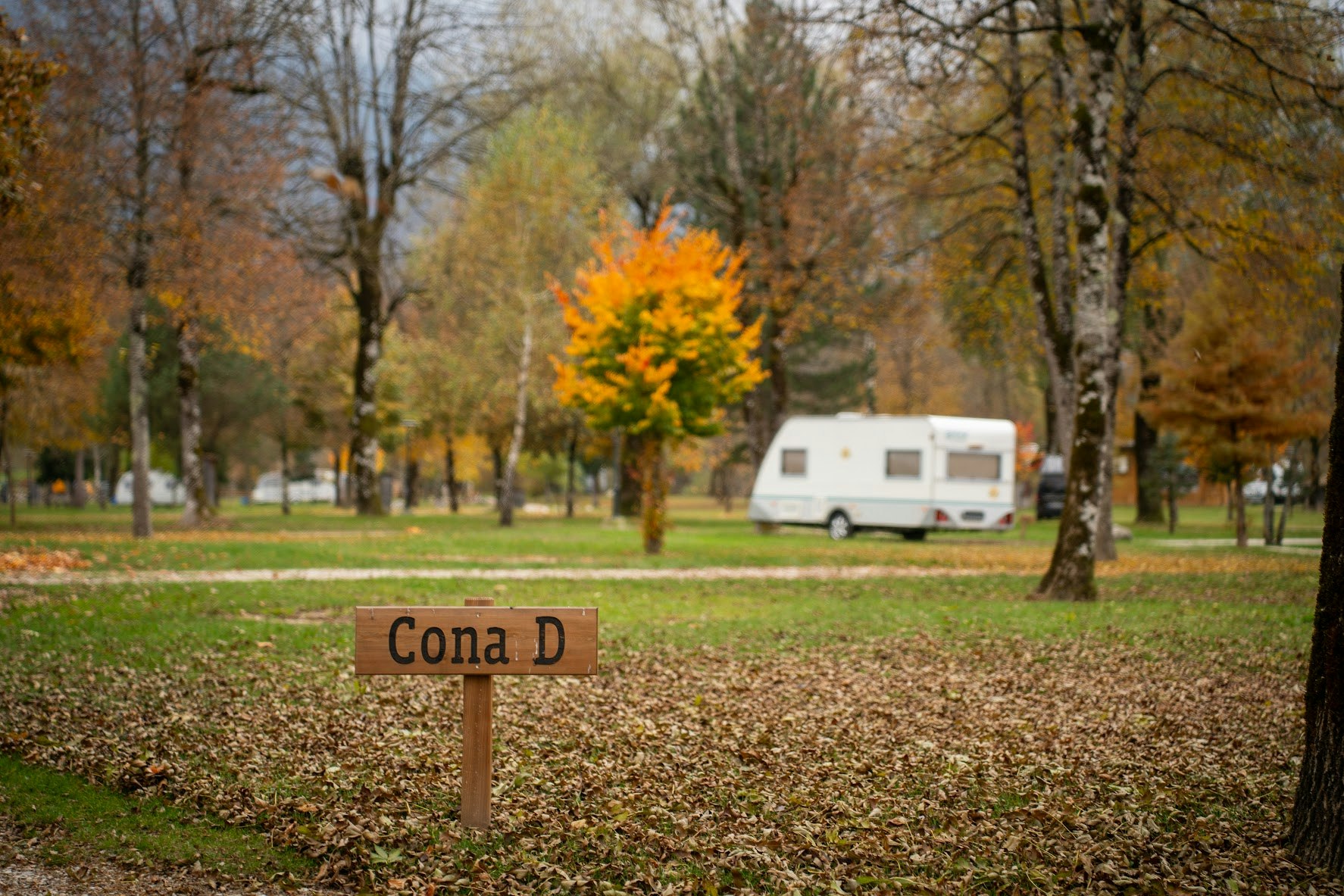 Wohnwagen auf einem Campingplatz im Herbst, im Vordergrund ein Schild „Cona D“ und Bäume mit gelben Blättern.