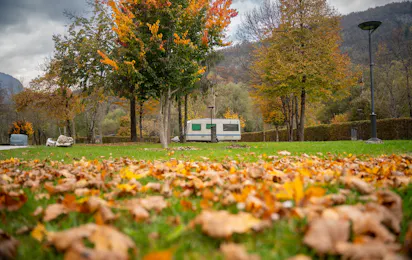 Camp Danica Bohinj