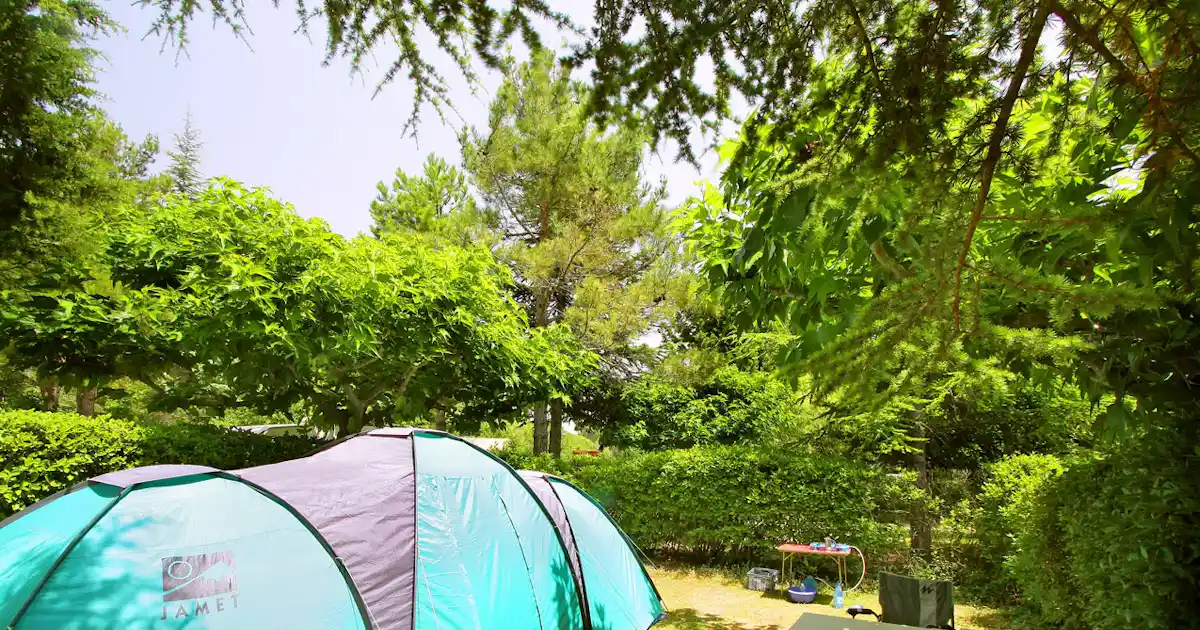Camping Das Pinhiers photo 4