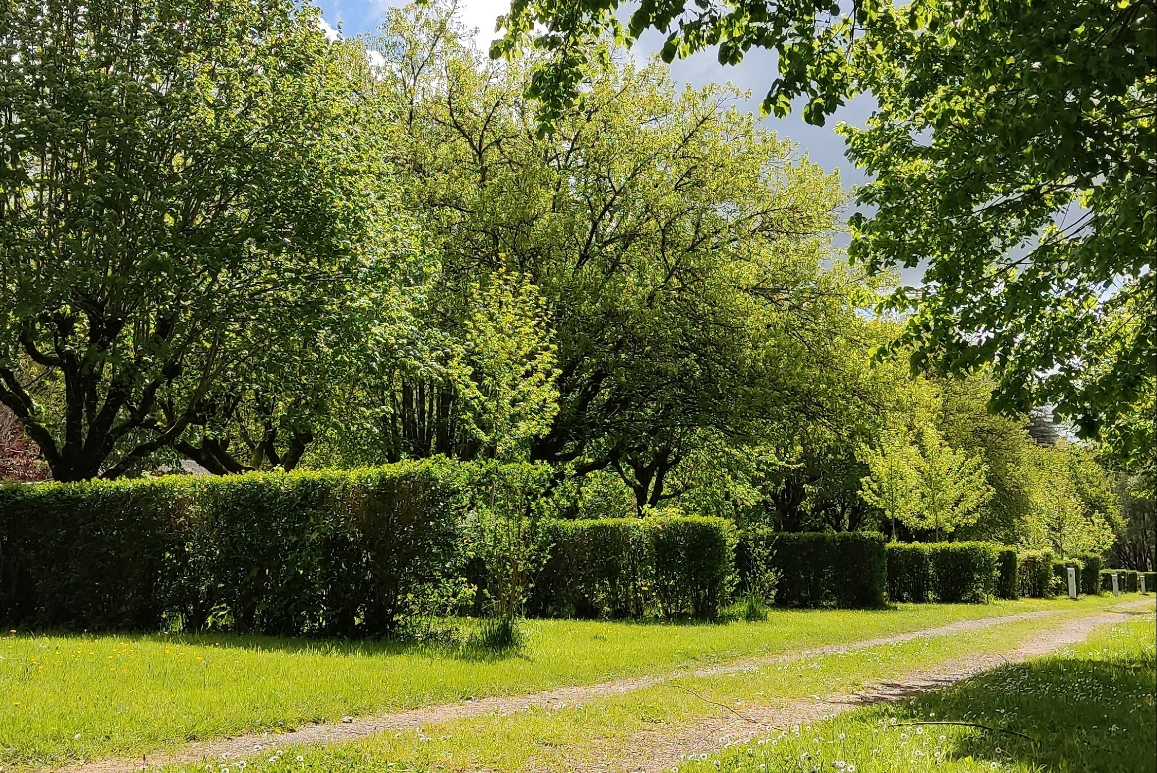 Camping de Beaufort - Standplätze im Grünen auf dem Campingplatz