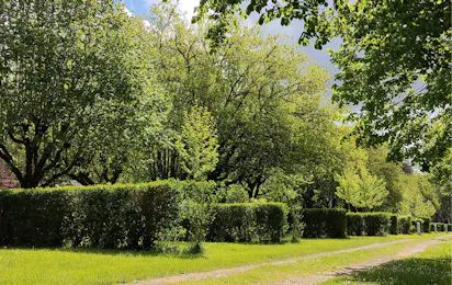 Camping de Beaufort