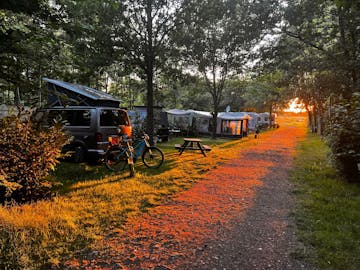 Camping De Beerte