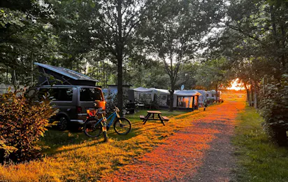 Camping De Beerte