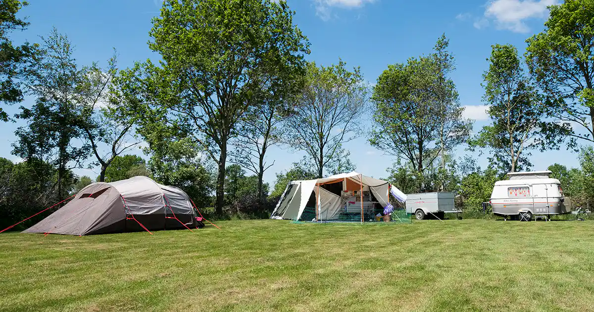 Sind Hunde auf Camping de Berghoeve erlaubt? photo 4