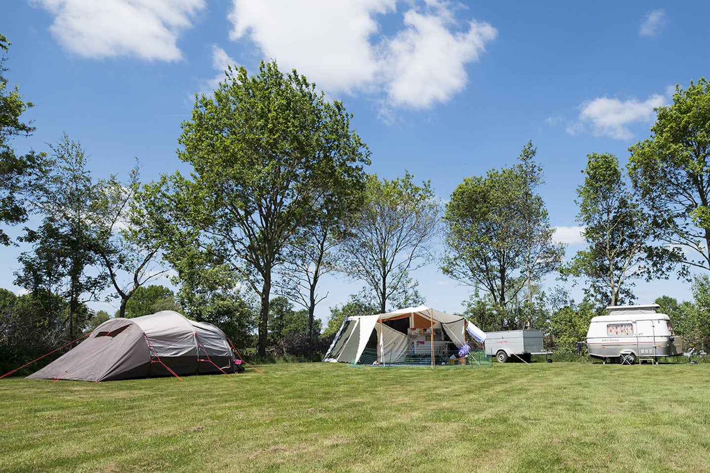 Camping de Berghoeve - Zelt- und Stellplätze auf der Wiese