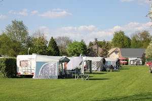 Camping de Betuwe Hoeve - Blick auf die Standplätze auf der Wiese