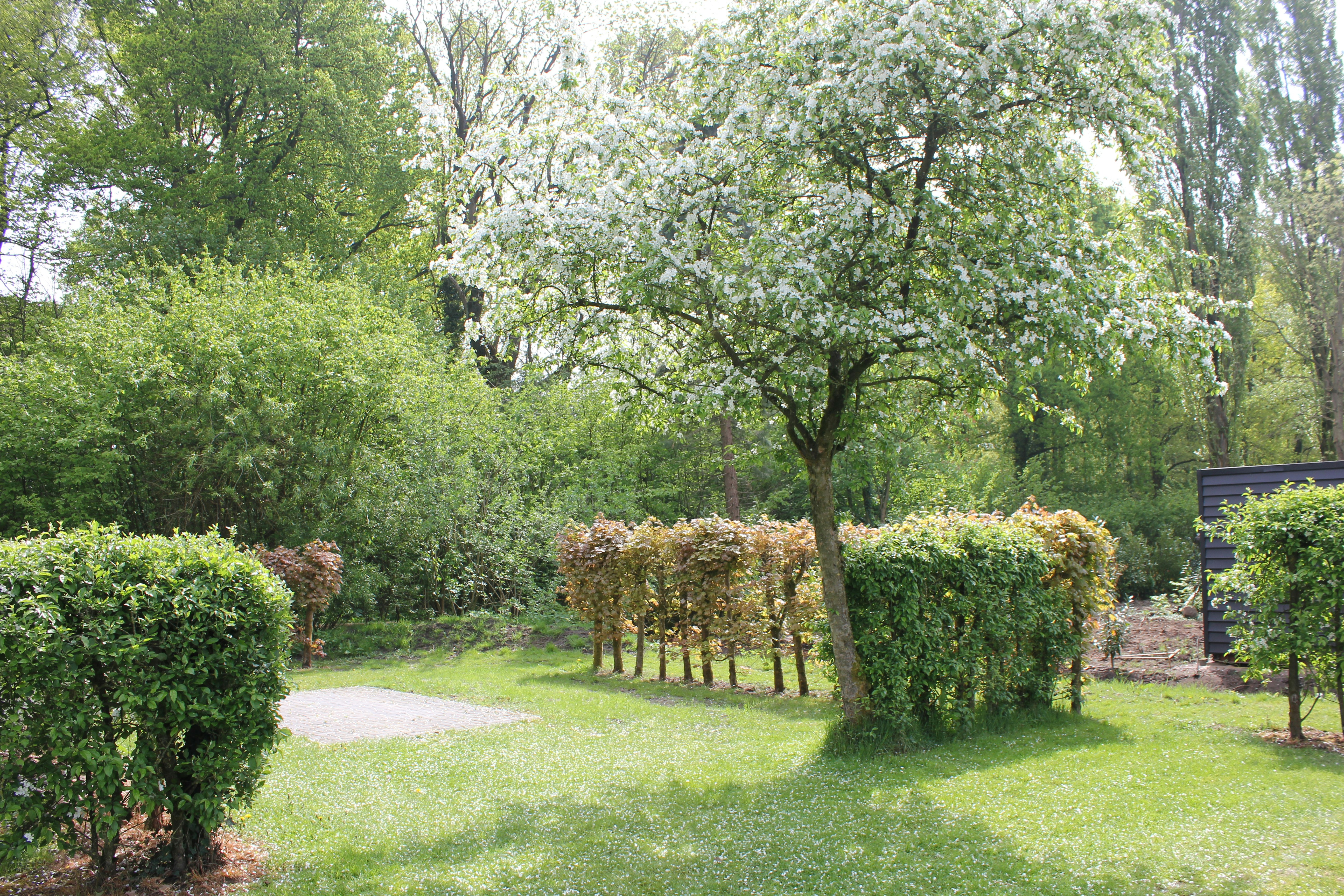 Gepflegter Campinggarten mit Rasen, Kiesweg und Bäumen, Hecken und einem Holzzaun im Hintergrund.