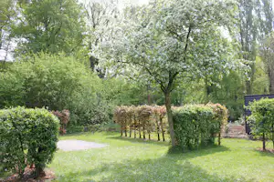 Gepflegter Campinggarten mit Rasen, Kiesweg und Bäumen, Hecken und einem Holzzaun im Hintergrund.