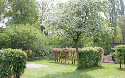 Camping de Betuwe Hoeve