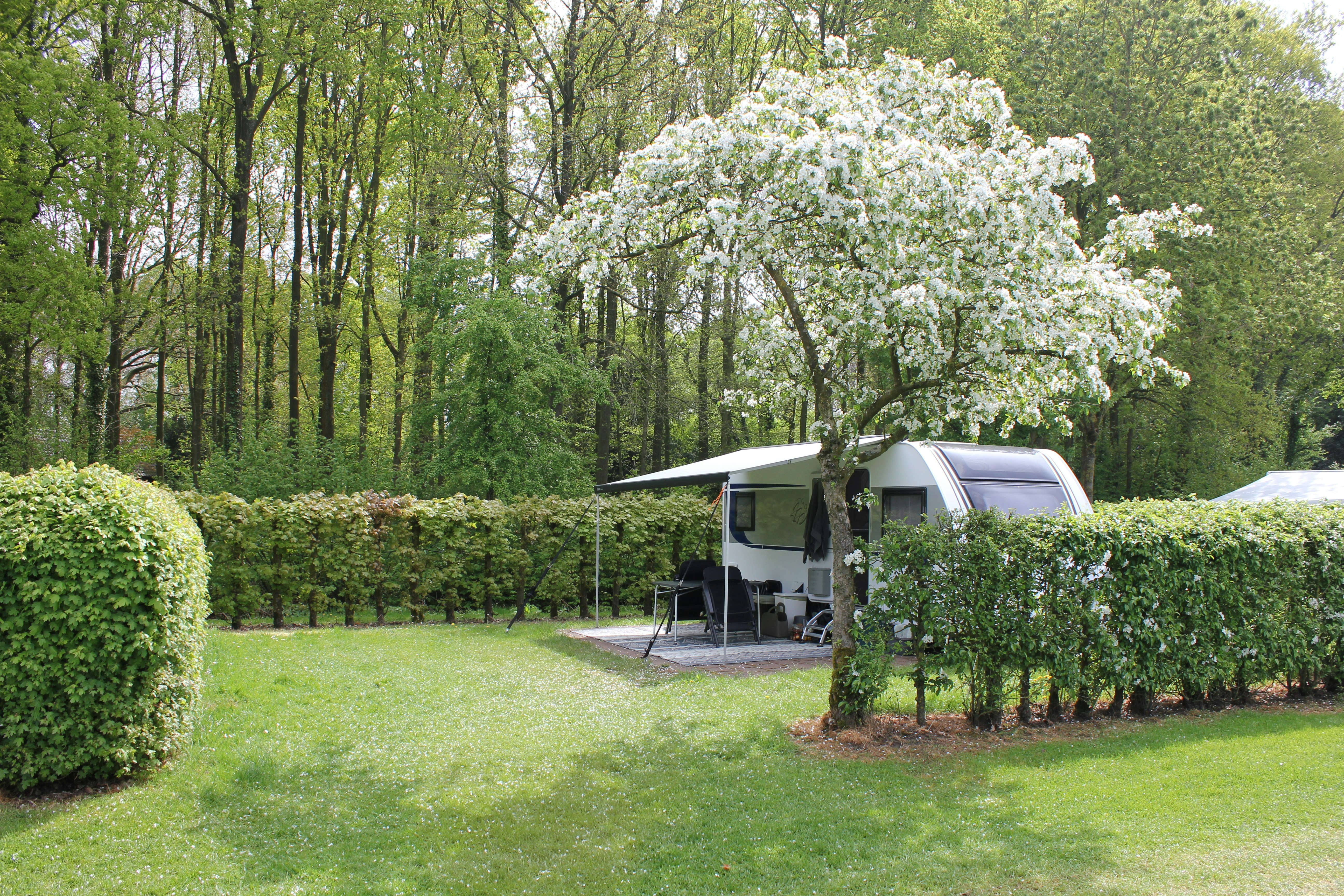 Wohnwagen mit Vorzelt und Sitzbereich auf einem gepflegten Campingplatz, umgeben von Hecken und Bäumen im Wald.