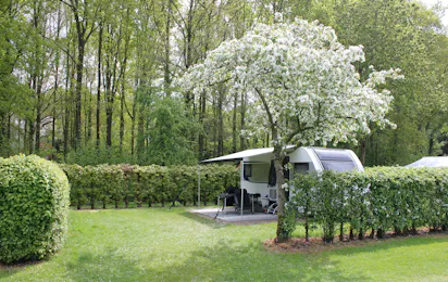 Camping de Betuwe Hoeve