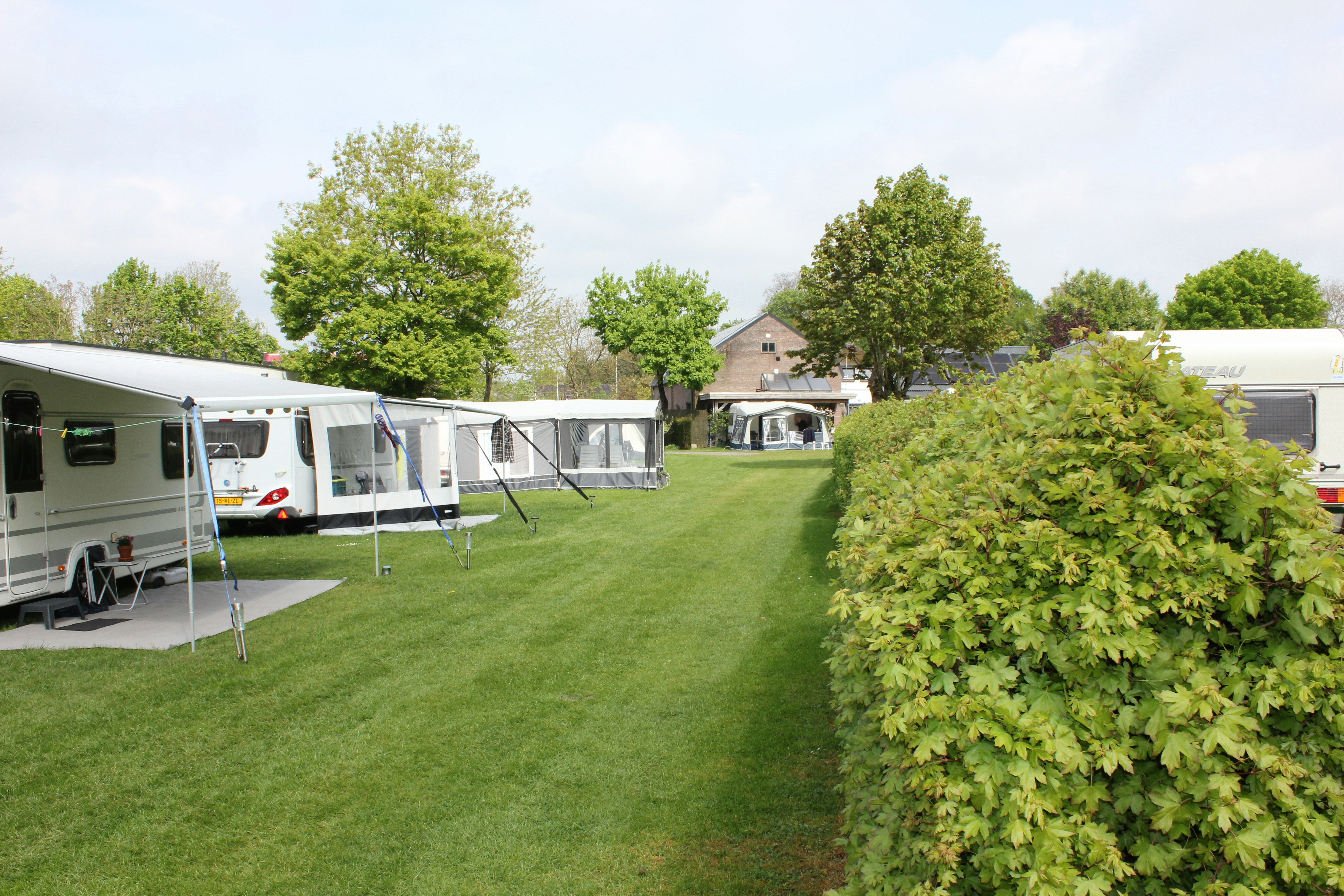 Reihen von Wohnwagen und Zelten auf einem gepflegten Campingplatz, mit Rasenweg und Bäumen im Hintergrund.