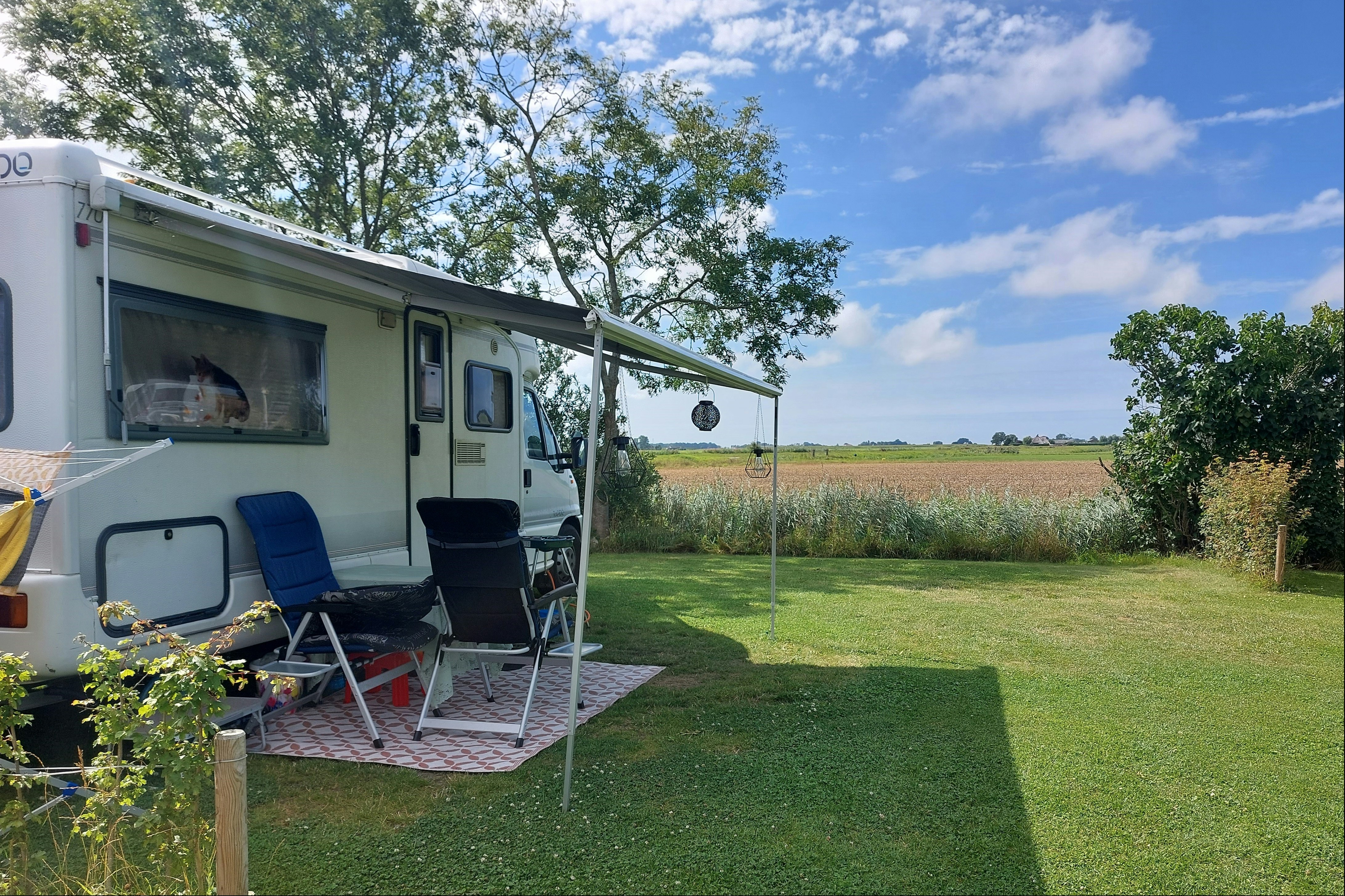 Camping de Blijer Wadden - Standplatzwiese auf dem Campingplatz