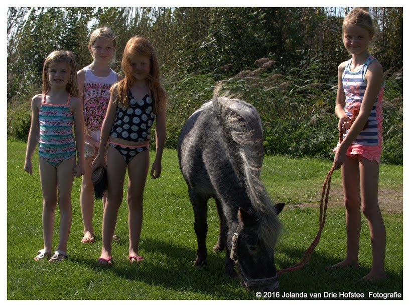 Camping De Blikvaart