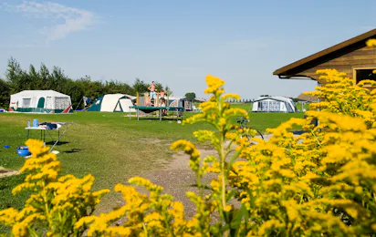 Camping De Blikvaart