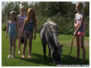 Camping De Blikvaart