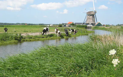 Camping De Boekel