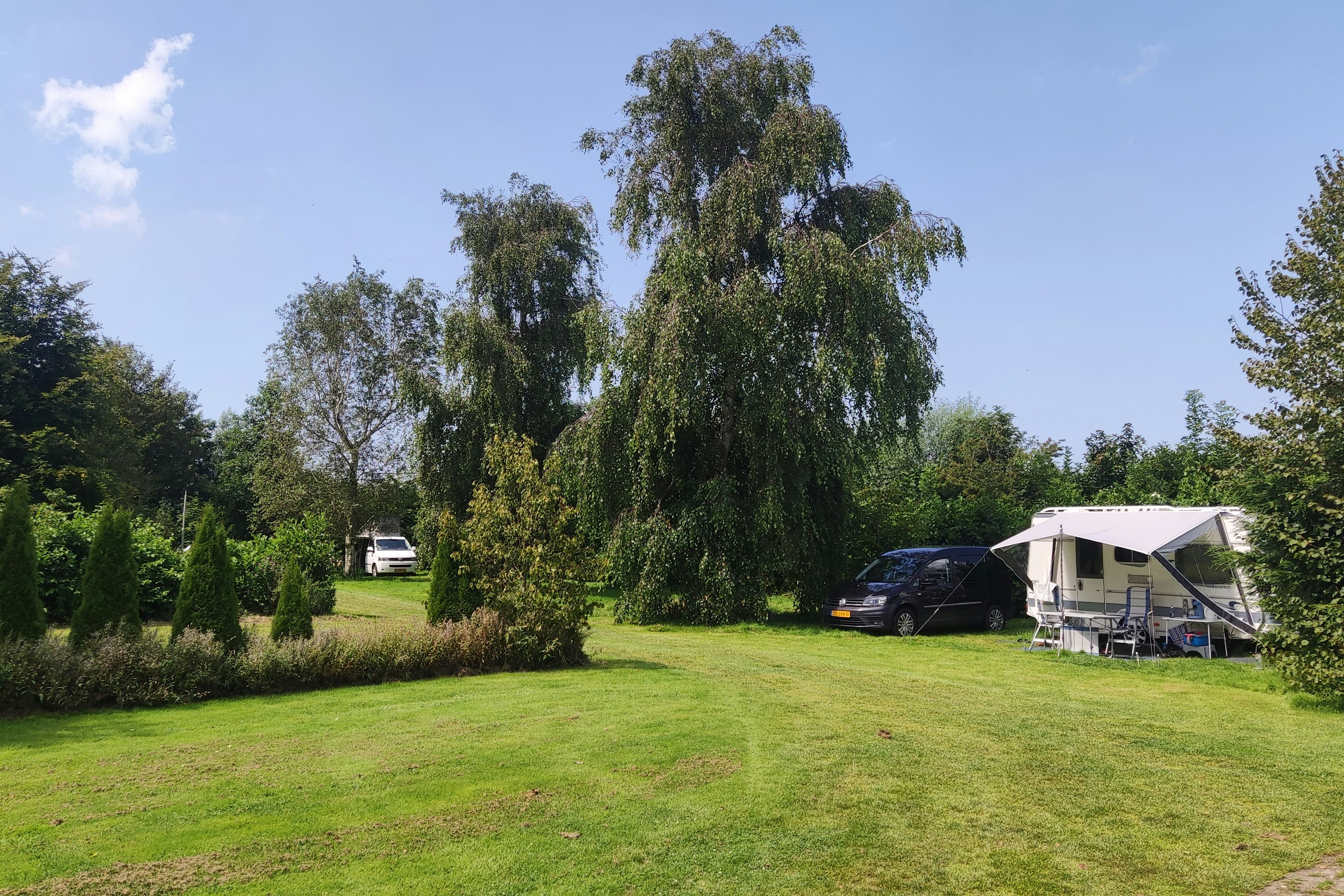 Camping De Boerenzwaluw - Blick auf die Standplätze auf der Wiese