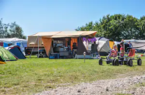 Camping De Boerinn - Standplatzwiese auf dem Campingplatz
