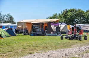 Camping De Boerinn - Standplatzwiese auf dem Campingplatz
