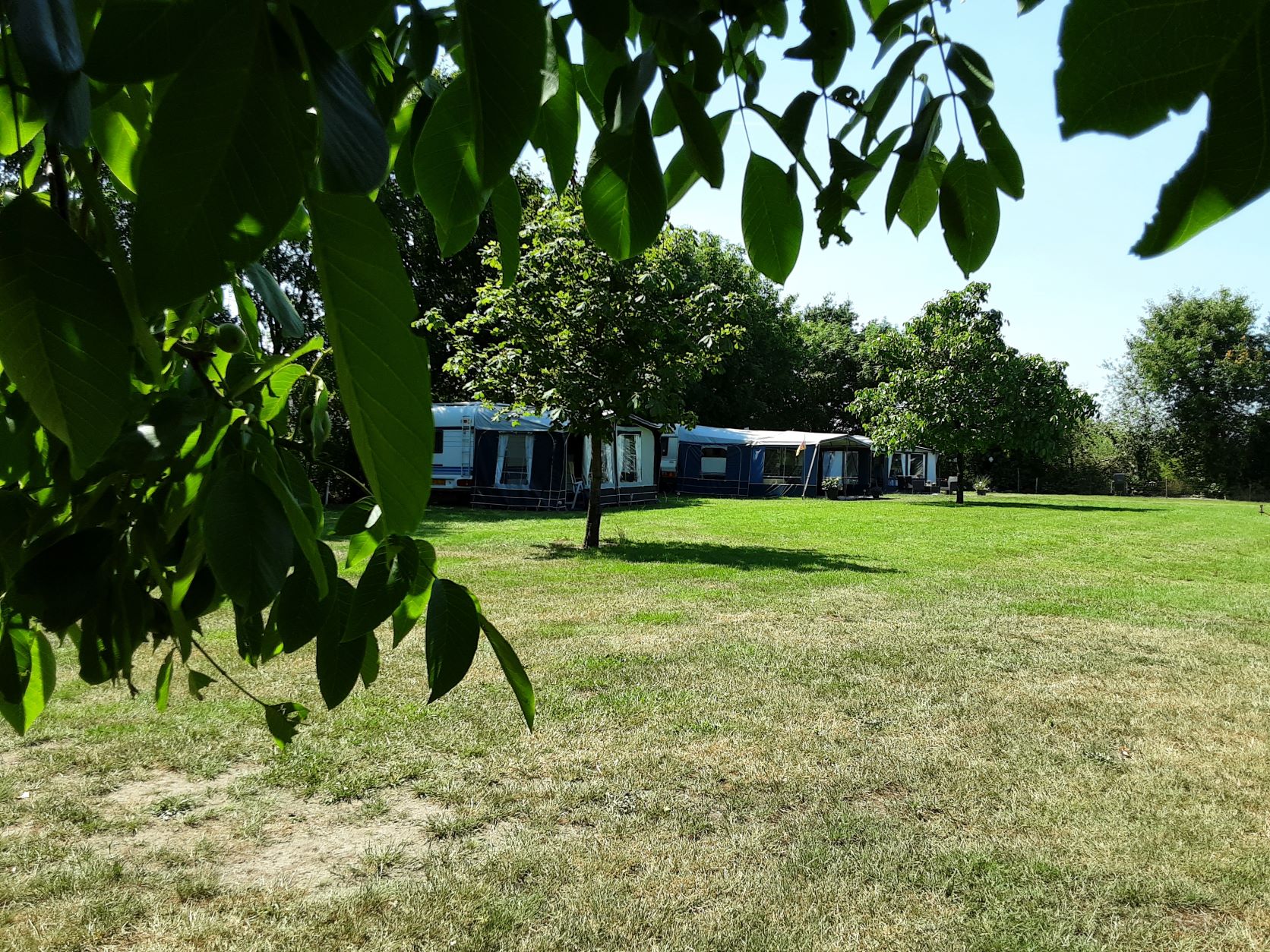 Camping De Boltsebroek