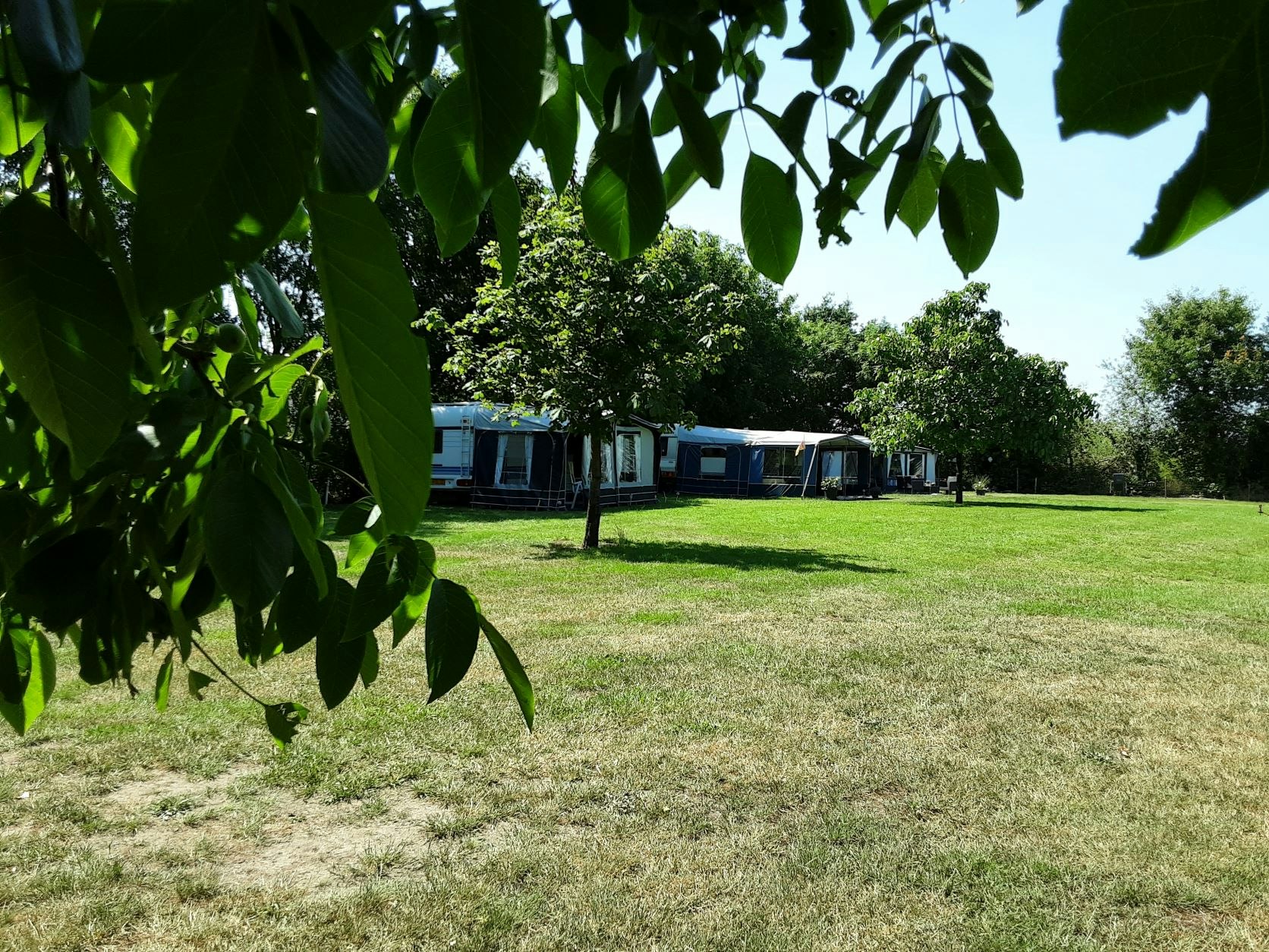 Camping Het Boltsebroek
