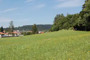 Camping In de Bongerd - Siblu Ferienpark Camping De Bongerd - Aussicht auf die grüne Wiese