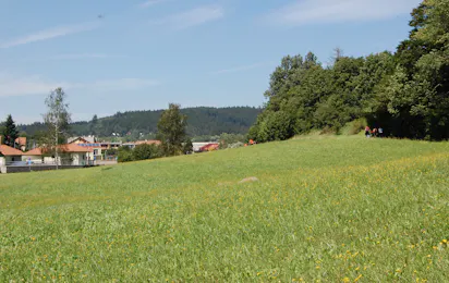 Camping In de Bongerd