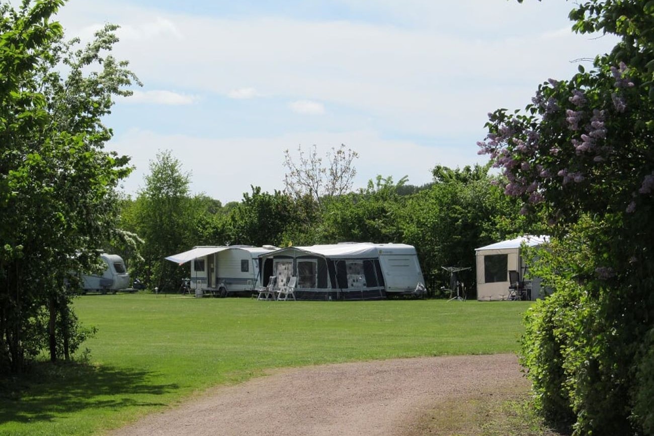 Camping De Boomgaard - Standplätze auf der Wiese auf dem Campingplatz