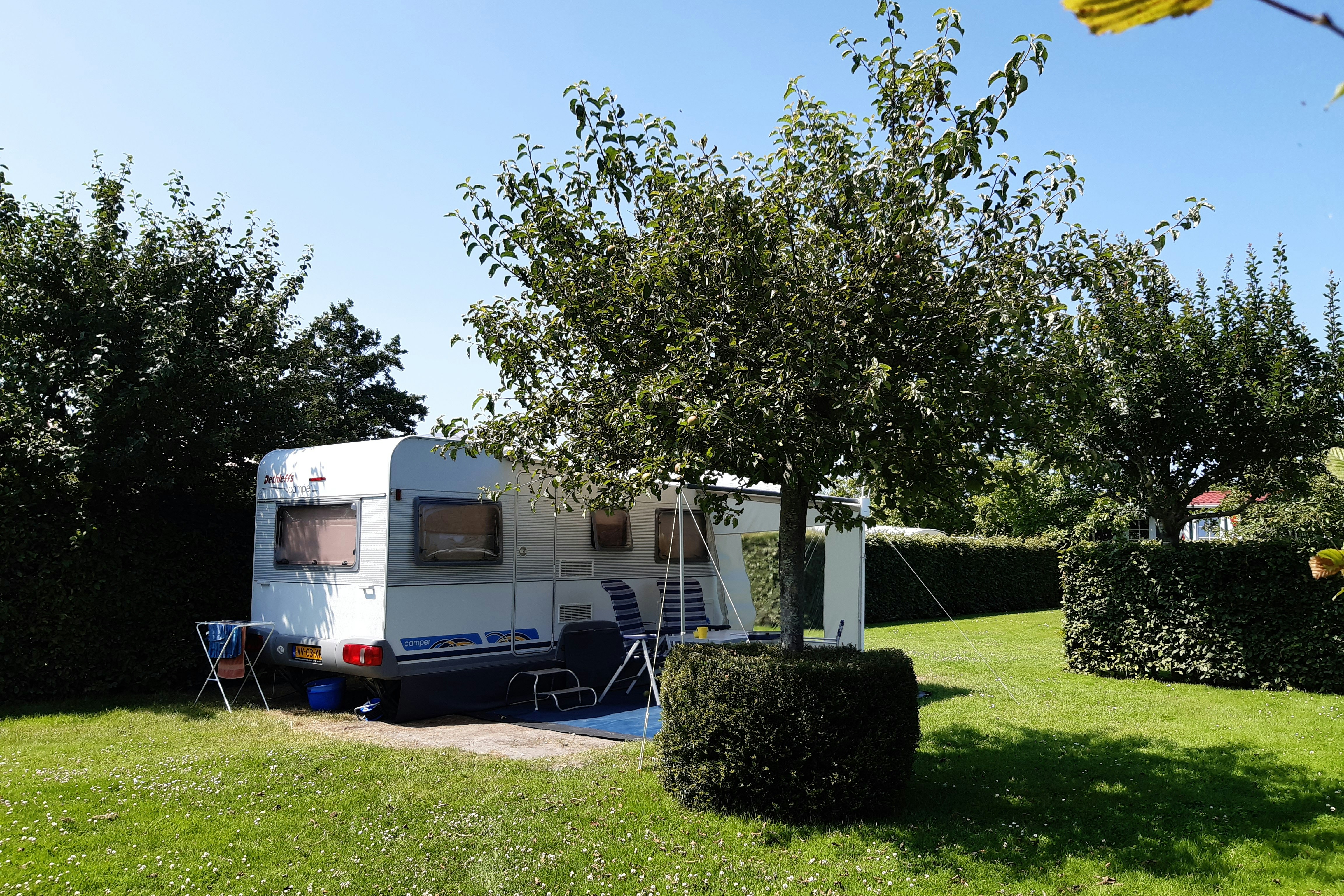 Camping De Boshoorn