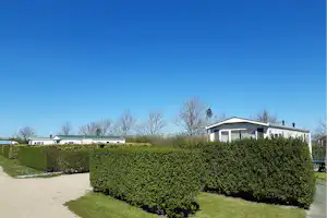 Camping De Boshoorn - Standplätze auf dem Campingplatz