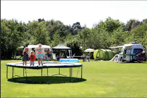 Camping De Bosrand - Spielende Kinder auf der Wiese des Campingplatzes