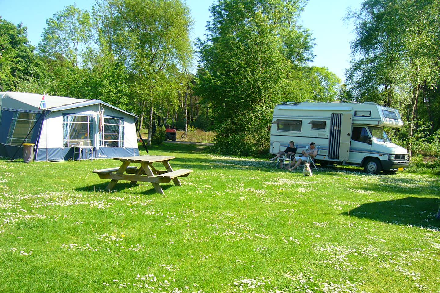 Camping De Bosrand - Wohnwagen und ein Wohnmobil auf Stellplätzen