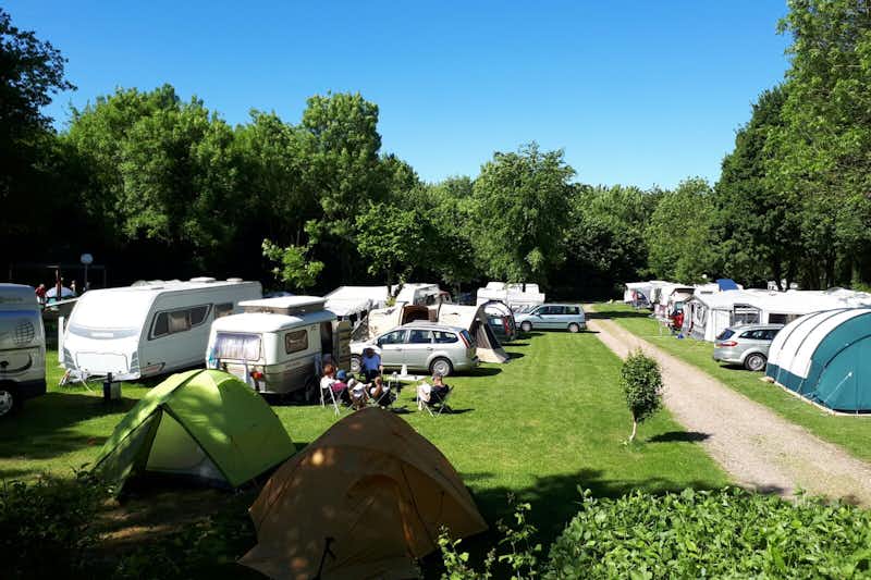 Camping De Bosrand  -  Wohnwagen- und Zeltstellplatz vom Campingplatz auf grüner Wiese